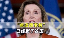 外媒佩洛西最新爆料消息,揭秘美国政治内幕惊人细节”