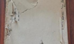 大连探店爆料事件最新,揭秘网红餐厅背后的真相与争议