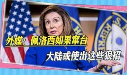 外媒佩洛西最新爆料消息,揭秘美国政治内幕惊人细节”